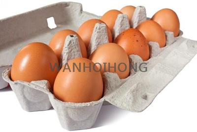靚雞蛋(紅殼黃心) FRESH EGGS
