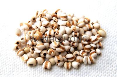 生薏米(細粒) SEMEN COICIS (SMALL)