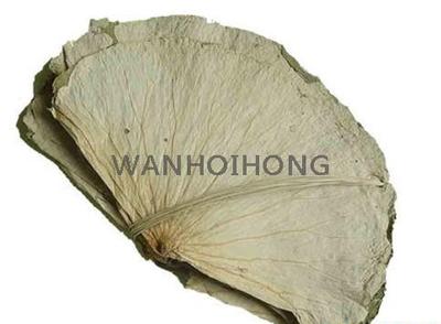 乾荷葉 DRIED LOTUS LEAF 