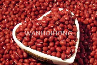 天津大紅豆 TIAN JIN RED BEAN (LARGE)