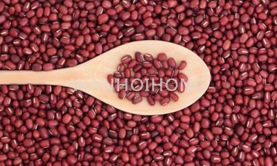 天津細紅豆 TIAN JIN RED BEAN (SMALL)
