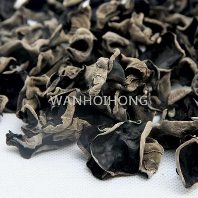 木耳  BLACK FUNGUS