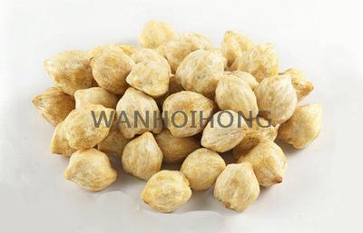 石栗粒 CANDLENUT