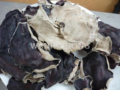 靚雲耳 SUPERIOR BLACK FUNGUS