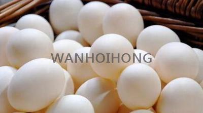 靚雞蛋(白殼紅心) FRESH EGGS